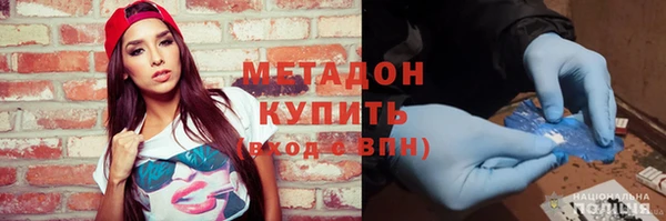прущие грибы Абаза
