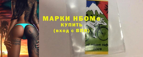 прущие грибы Абаза