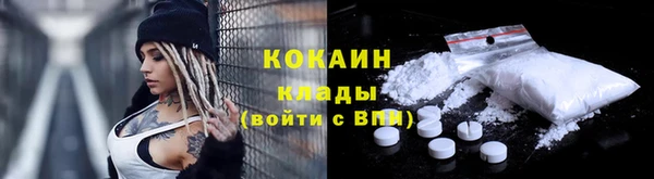 прущие грибы Абаза