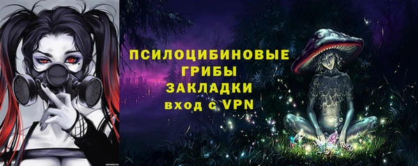 прущие грибы Абаза