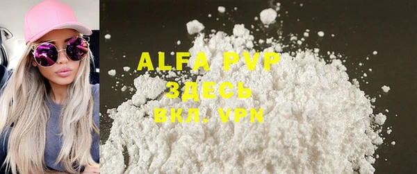 прущие грибы Абаза
