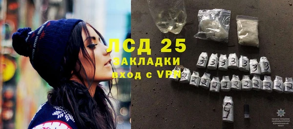 прущие грибы Абаза