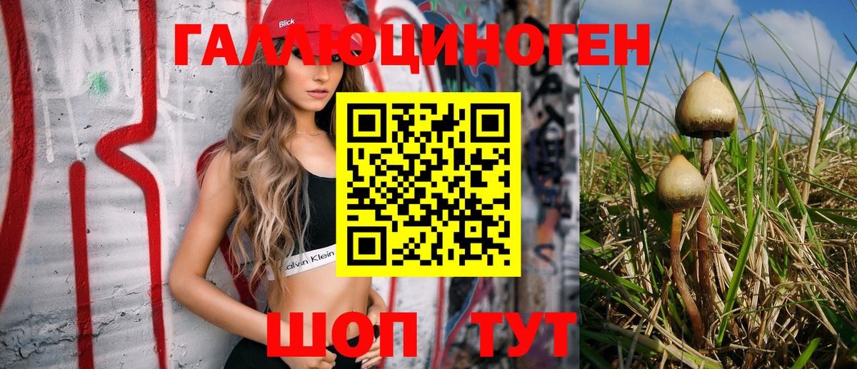 Псилоцибиновые грибы Psilocybine cubensis  Вход с VPN  Псилоцибиновые грибы MAGIC MUSHROOMS  Касимов 