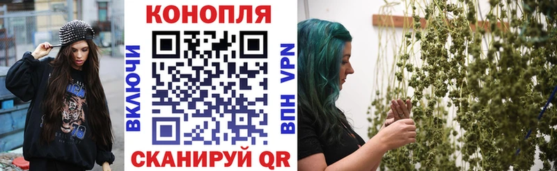 Конопля MAZAR  продажа наркотиков  Касимов 